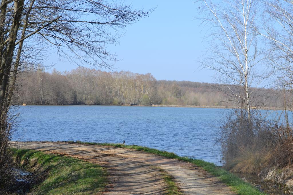 Gite Au Lac Du Gouyre Puygaillard-de-Quercy Exterior foto